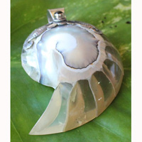 Pendant With Shell And Silver