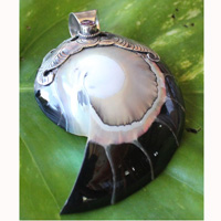Pendant With Shell And Silver
