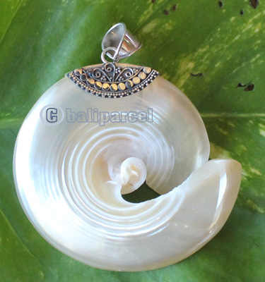 Pendant With Shell And Silver