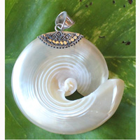 Pendant With Shell And Silver