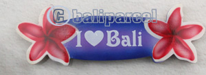 Magnet With Airbrushed, Handcarved From Albesia Wood