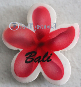 Magnet With Airbrushed, Handcarved From Albesia Wood