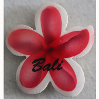 Magnet With Airbrushed, Handcarved From Albesia Wood