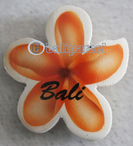 Magnet With Airbrushed, Handcarved From Albesia Wood