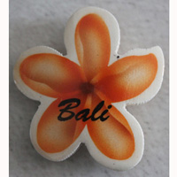Magnet With Airbrushed, Handcarved From Albesia Wood