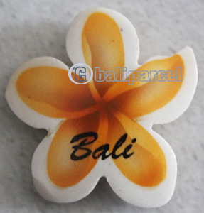 Magnet With Airbrushed, Handcarved From Albesia Wood