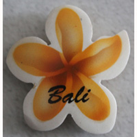Magnet With Airbrushed, Handcarved From Albesia Wood