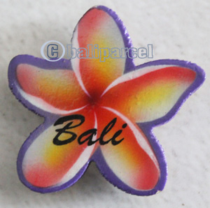 Magnet With Airbrushed, Handcarved From Albesia Wood