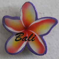 Magnet With Airbrushed, Handcarved From Albesia Wood