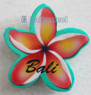Magnet With Airbrushed, Handcarved From Albesia Wood
