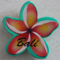 Magnet With Airbrushed, Handcarved From Albesia Wood