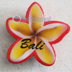 Magnet With Airbrushed, Handcarved From Albesia Wood