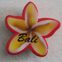 Magnet With Airbrushed, Handcarved From Albesia Wood