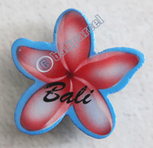 Magnet With Airbrushed, Handcarved From Albesia Wood