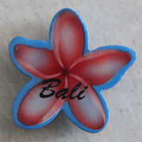 Magnet With Airbrushed, Handcarved From Albesia Wood