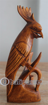 Handcarved Wooden Cockatoo, Made From Hibiscus Wood With Brown Polished
