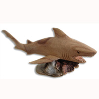 Handcarved Wooden Tiger Shark With Parasite Wood, Made From Hibiscus Wood With Natural Polished