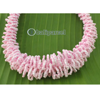 Necklace Glass Beads