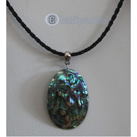 Necklace Shell