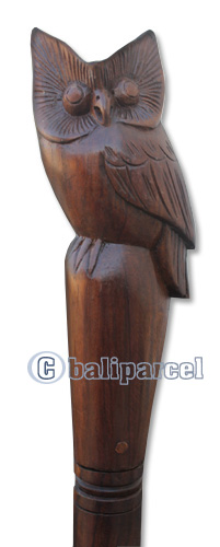Wooden Owl Walking Stick, Hand Carved From Sono Wood