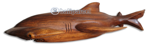 Handcarved Wooden Tiger Shark, Made From Suar Wood With Brown Polished