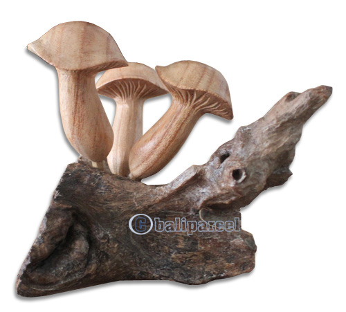 Wooden Mushrooms  Parasite Wood