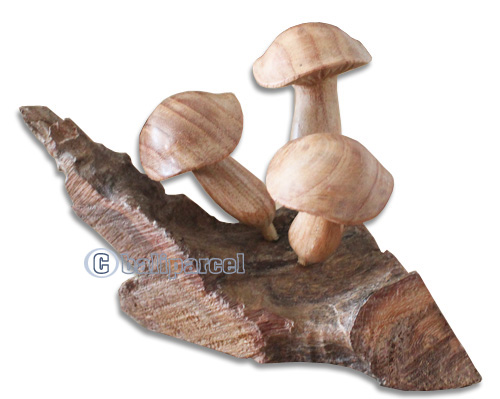 Wooden Mushrooms  Parasite Wood