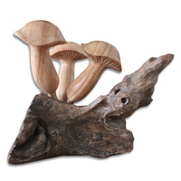 Wooden Mushrooms  Parasite Wood