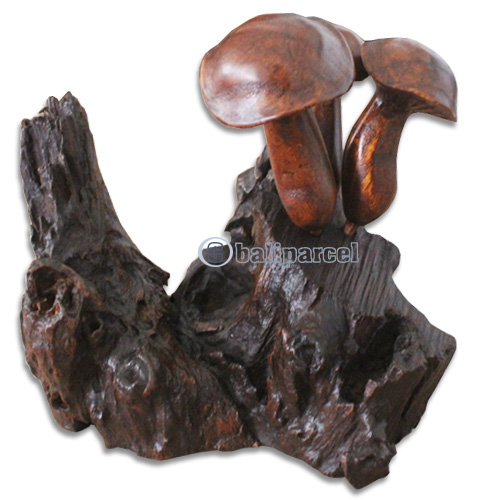 Wooden Mushrooms  Parasite Wood