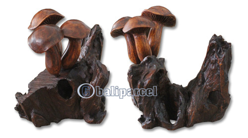 Wooden Mushrooms  Parasite Wood