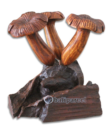 Wooden Mushrooms  Parasite Wood