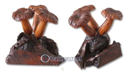 Wooden Mushrooms  Parasite Wood