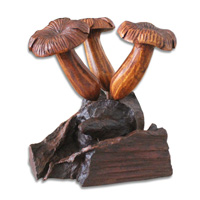 Wooden Mushrooms  Parasite Wood