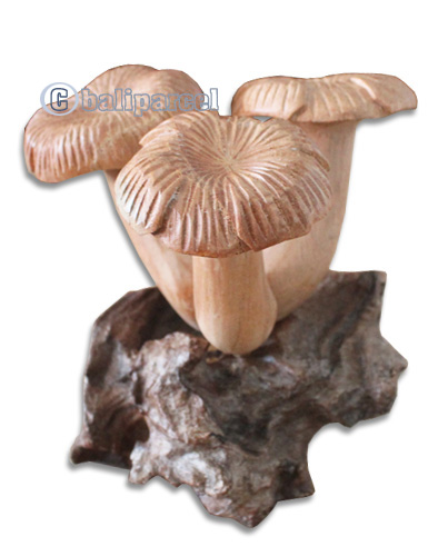 Wooden Mushrooms  Parasite Wood