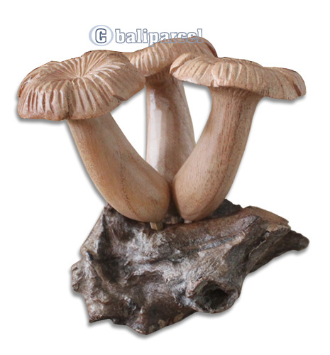 Wooden Mushrooms  Parasite Wood