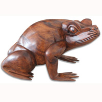Wooden Frog Hand Carved From Suar Wood With Brown Polished