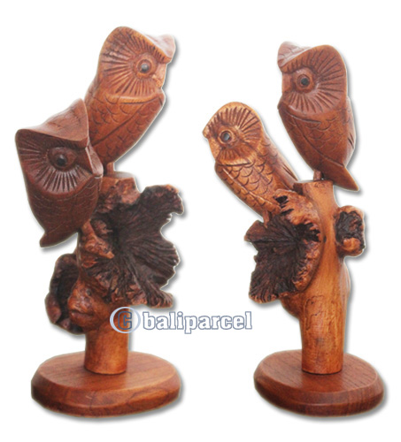 Wooden Owl Parasite Wood