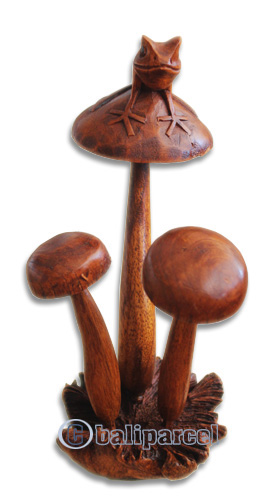 Wooden Mushrooms And Frog With Parasite Wood