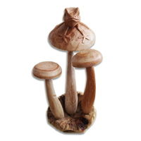 Wooden Mushrooms And Frog With Parasite Wood
