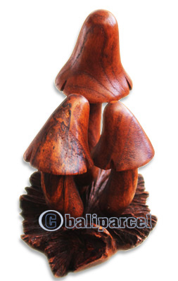 Wooden Mushrooms With Parasite Wood