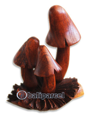 Wooden Mushrooms With Parasite Wood