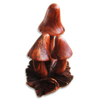 Wooden Mushrooms With Parasite Wood