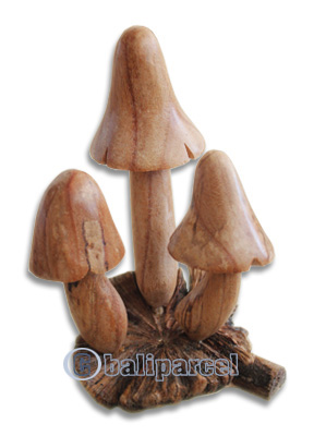 Wooden Mushrooms With Parasite Wood
