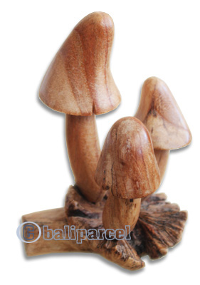 Wooden Mushrooms With Parasite Wood