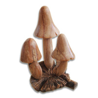 Wooden Mushrooms With Parasite Wood