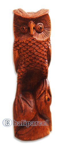Wooden Owl Handcarved From Hibiscus Wood