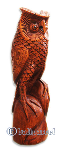 Wooden Owl Handcarved From Hibiscus Wood