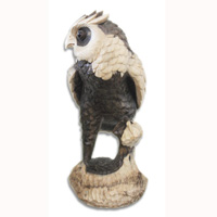 Wooden Owl Handcarved From Waru Wood