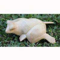 Wooden Frog, Handmade From Crocodile Wood With Natural Polished