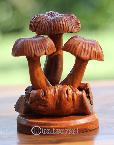 Wooden Mushrooms With Parasite Wood
